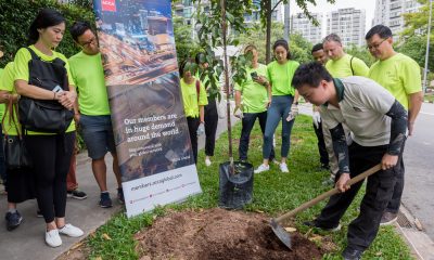 ACCA/NParks Plant a Tree Project