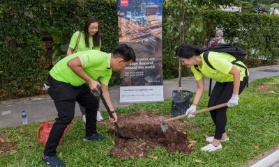 ACCA/NParks Plant a Tree Project