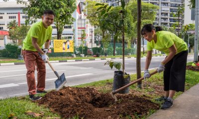 ACCA/NParks Plant a Tree Project