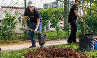 ACCA/NParks Plant a Tree Project