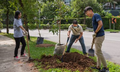 ACCA/NParks Plant a Tree Project