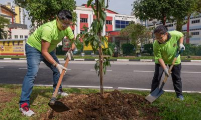 ACCA/NParks Plant a Tree Project